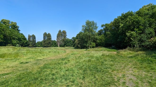 Open sunlit meadow and woodland edge in Whitewebbs Park